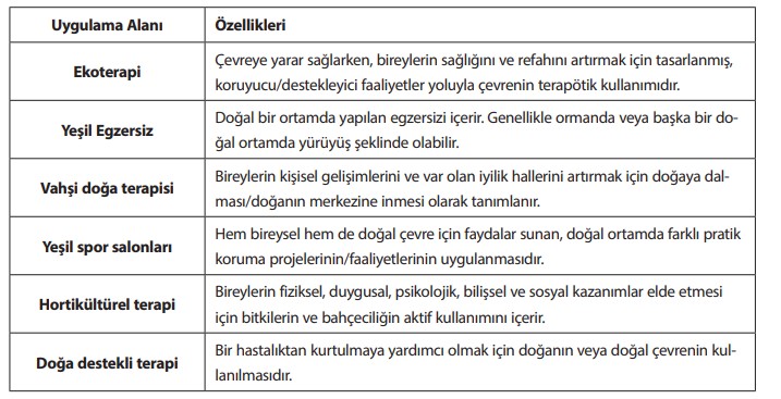 Sosyal Hizmet Uygulamalarında Ekopsikolojiyi Düşünmek